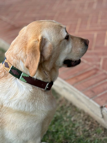 Polo Dog Collar Khaki